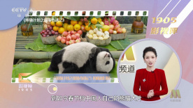 杰克奥特曼国语全集